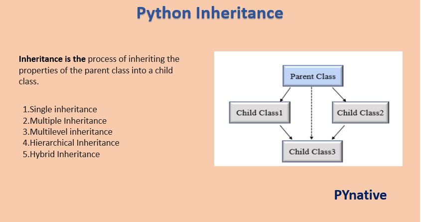 python class inheritance assignment
