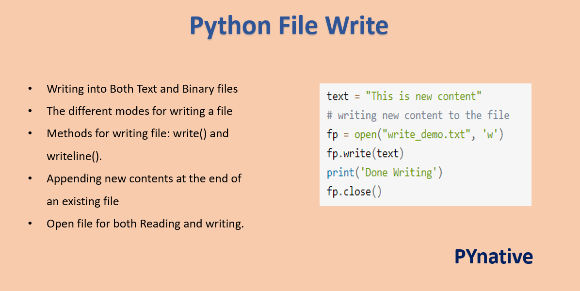 writing program in python