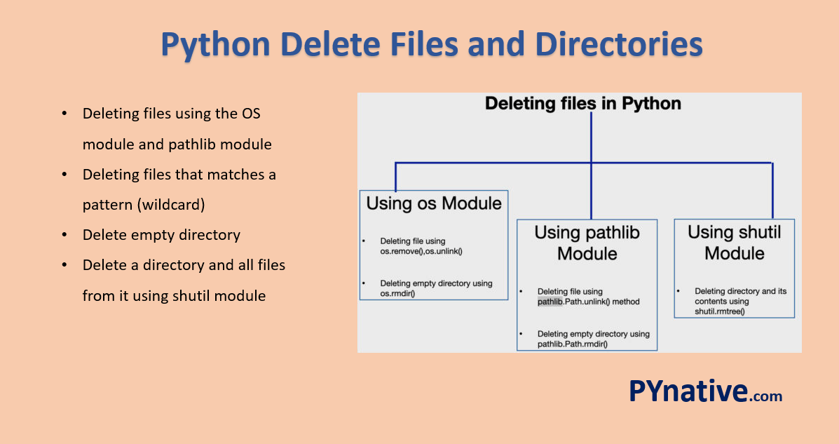 Python Delete Files And Directories [5 Ways] – Pynative