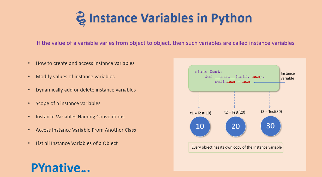 Python Instance Variables With Examples – Pynative